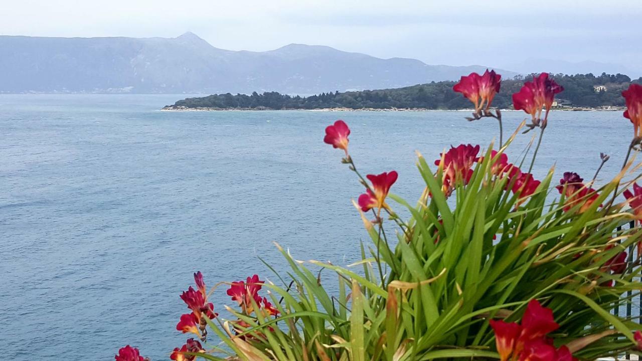 Roof Garden House Leilighet Corfu  Eksteriør bilde